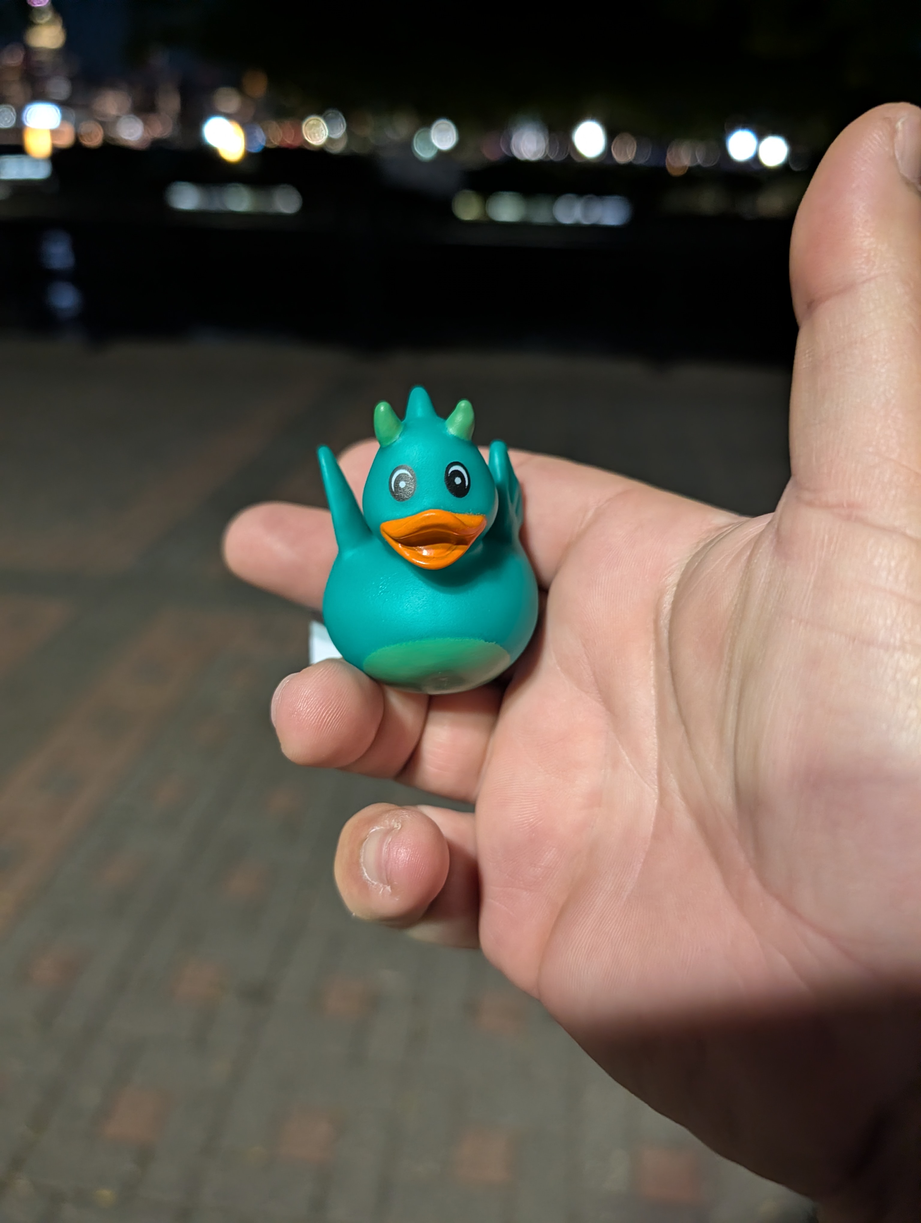 Duck checked in at Hoboken, New Jersey