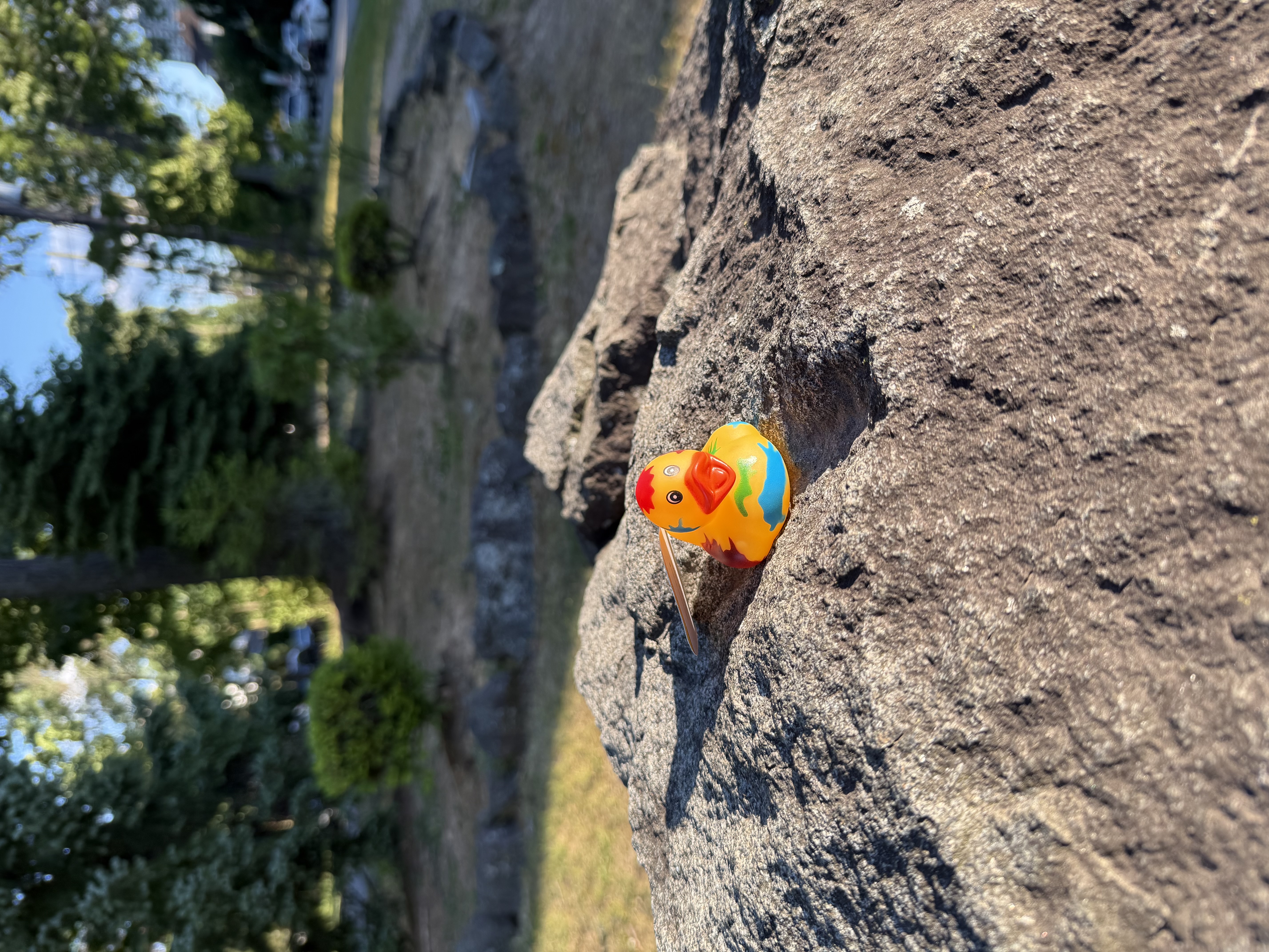 Duck checked in at Fort Lee, New Jersey
