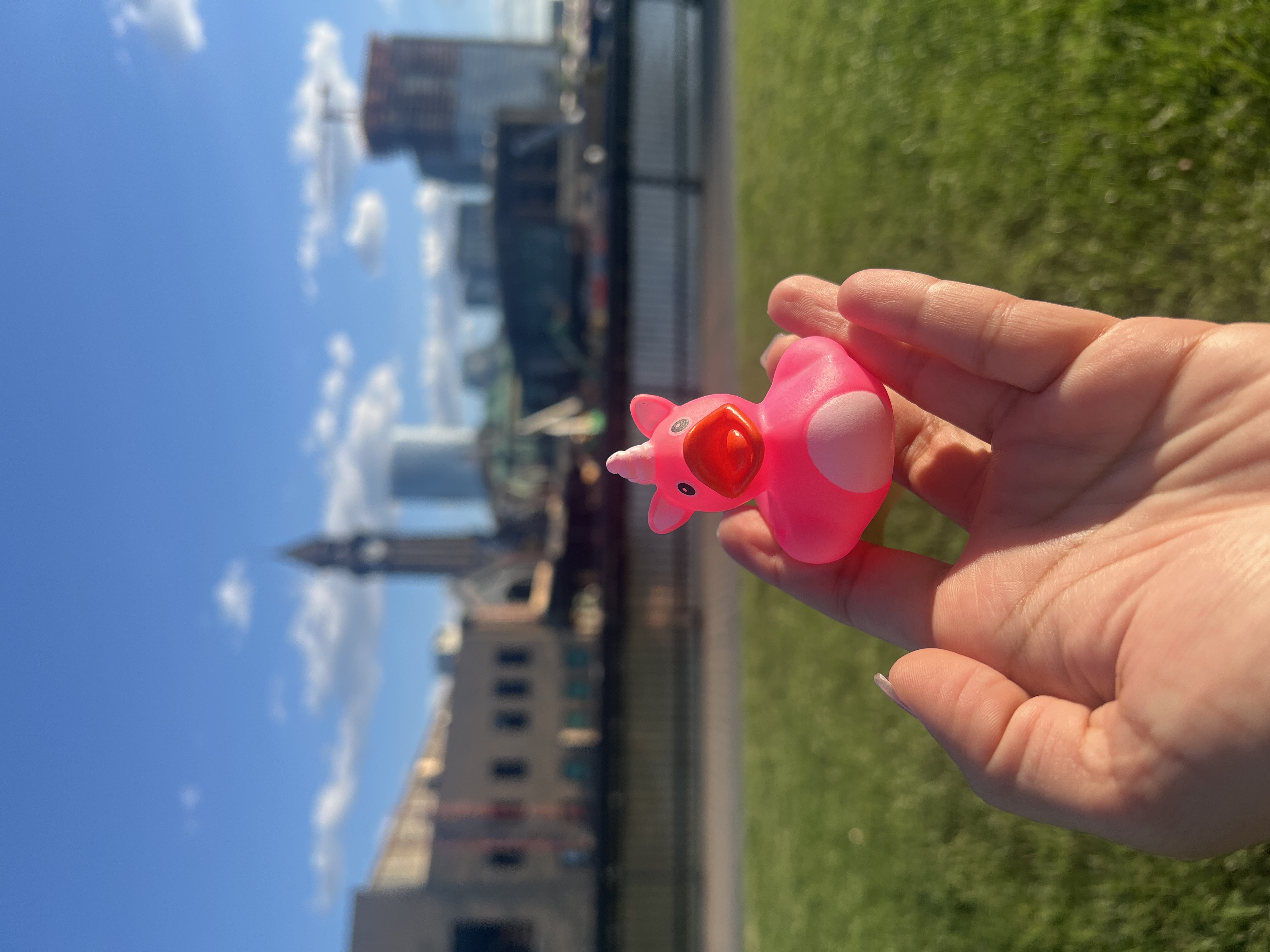 Duck checked in at Hoboken, New Jersey